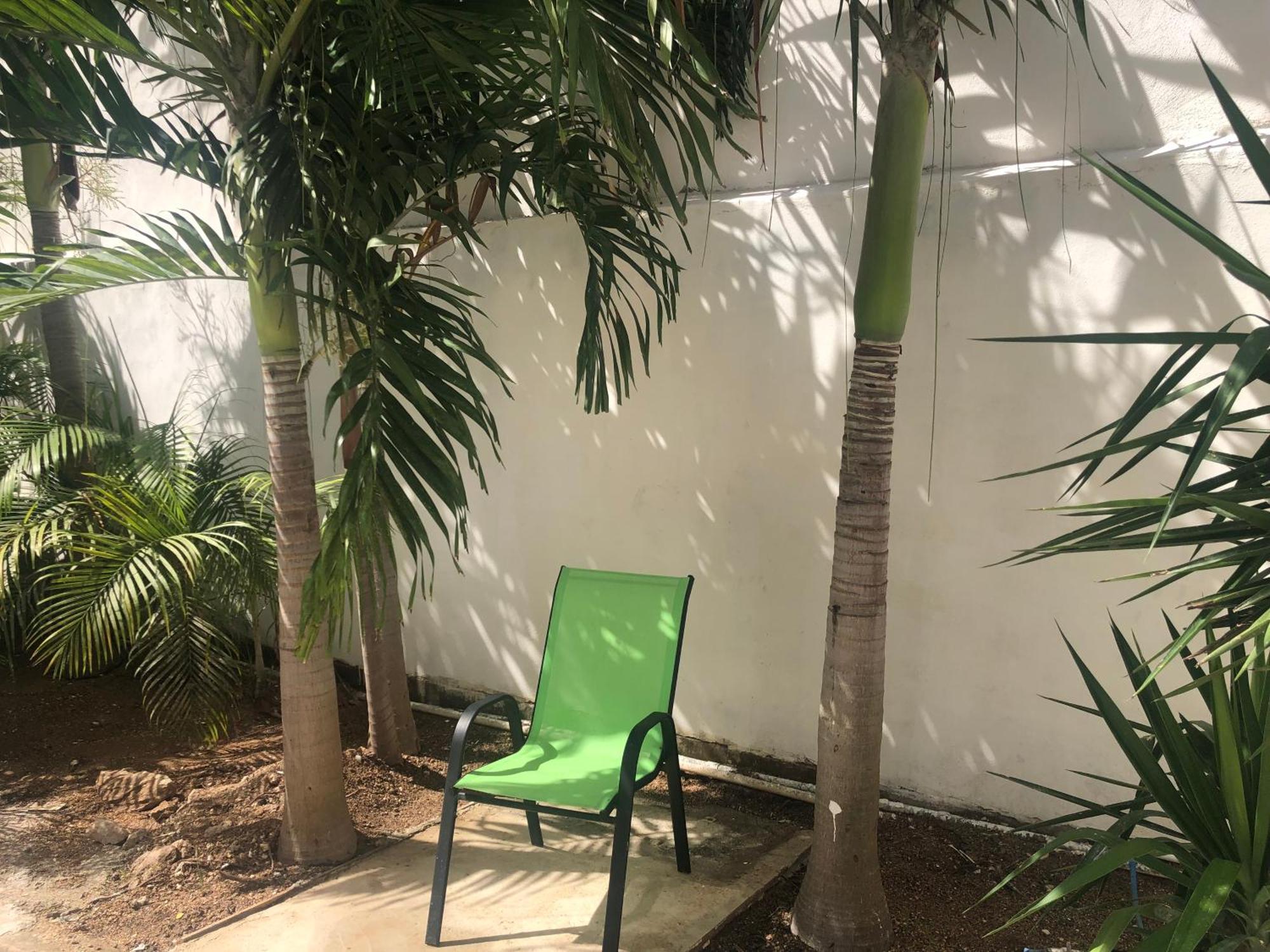 Studios Playa Playa del Carmen Dış mekan fotoğraf