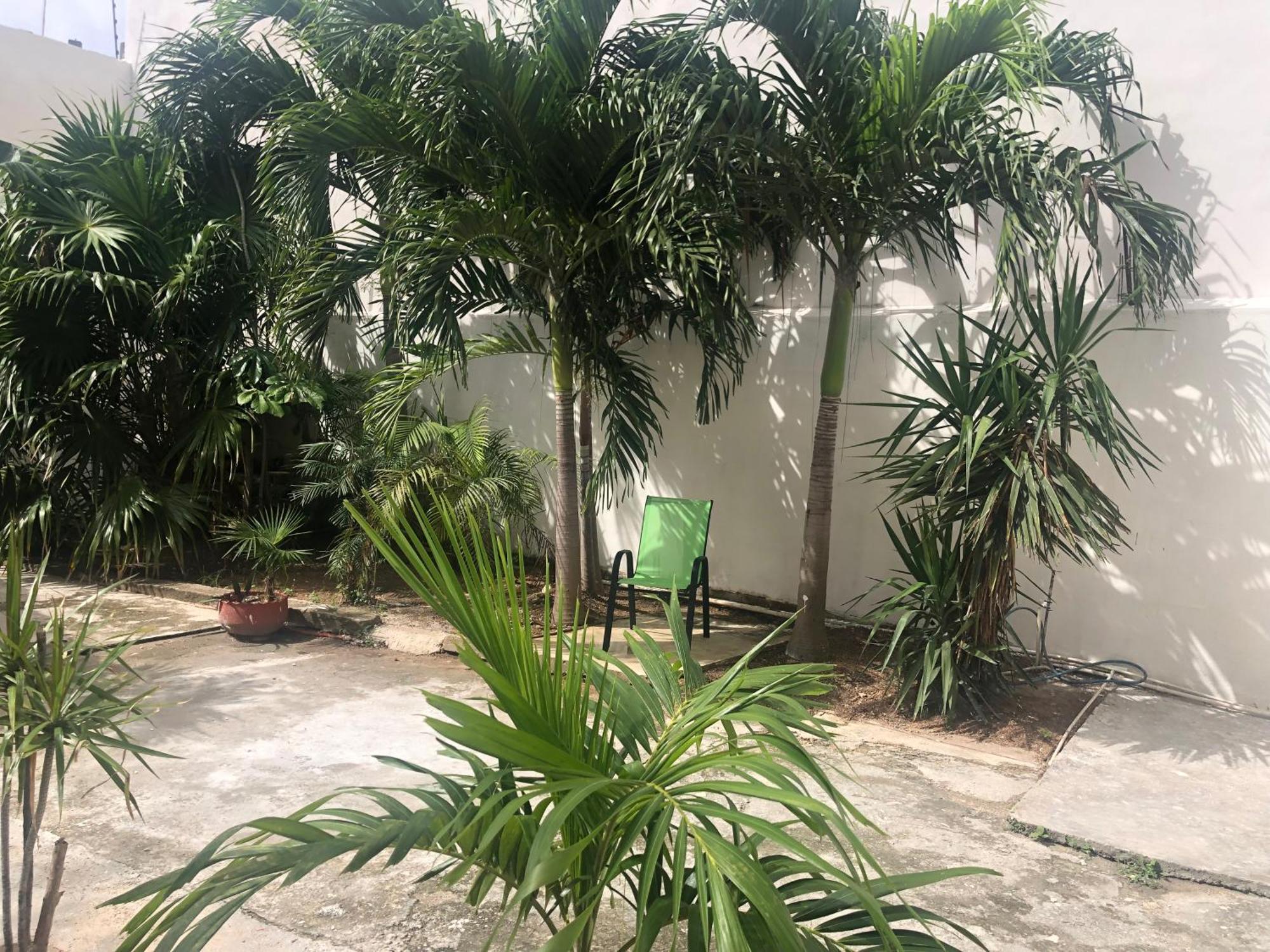 Studios Playa Playa del Carmen Dış mekan fotoğraf